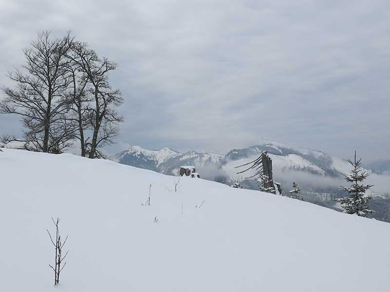 Spielkogel